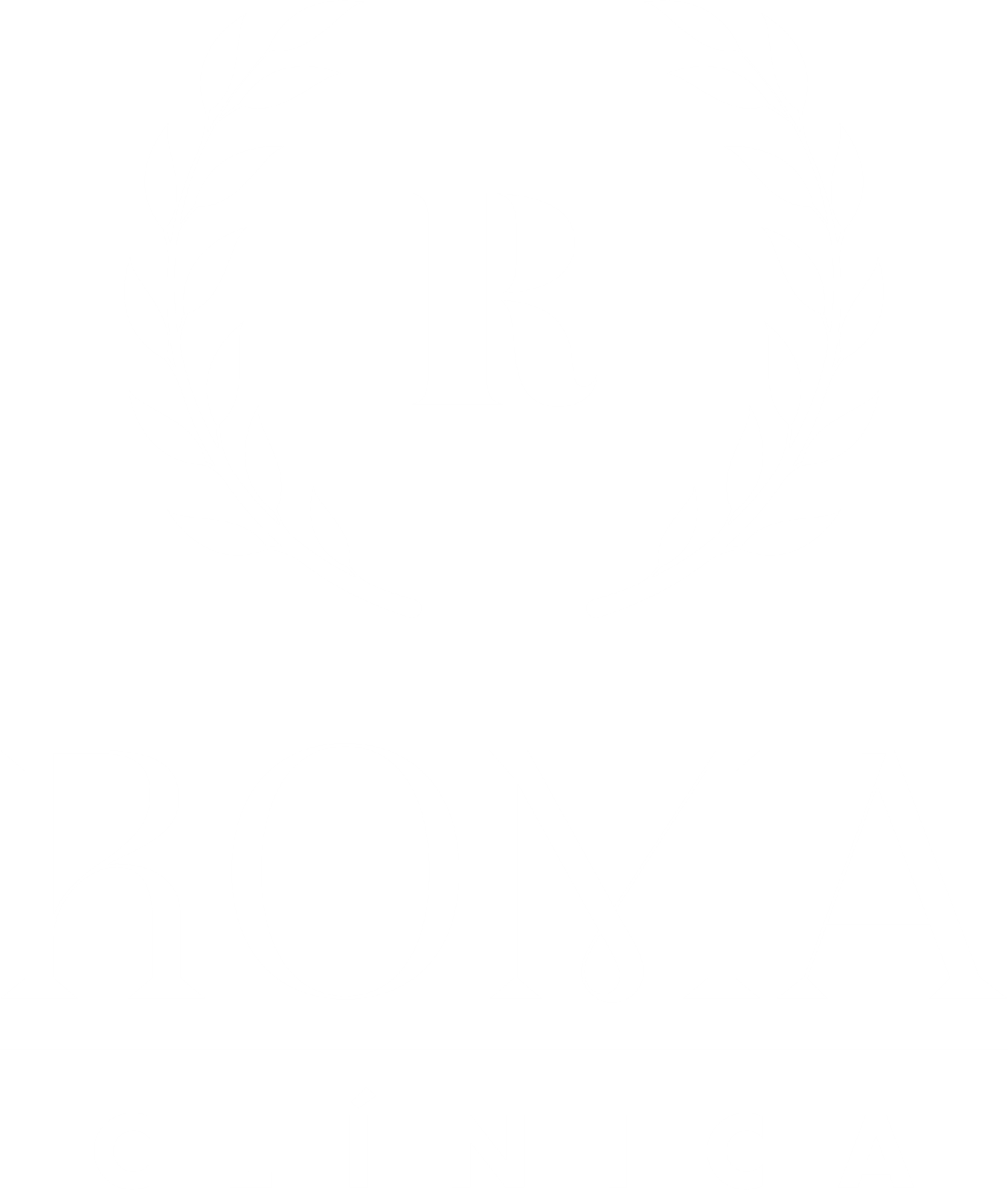 logo clinica romo la mejor clinica estetica malaga